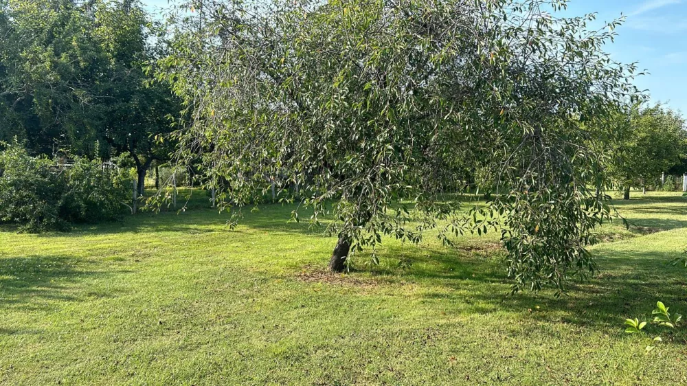 Image du modèle de maison 4 5 6 7