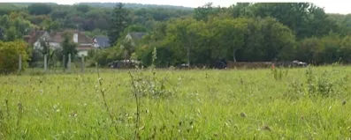 Image du modèle de maison photo