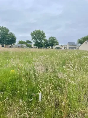 Image du modèle de maison IMG_6946