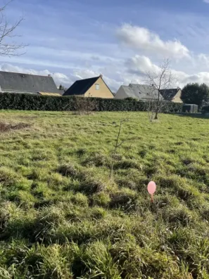 Image du modèle de maison IMG_8235