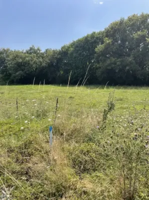 Image du modèle de maison IMG_4753