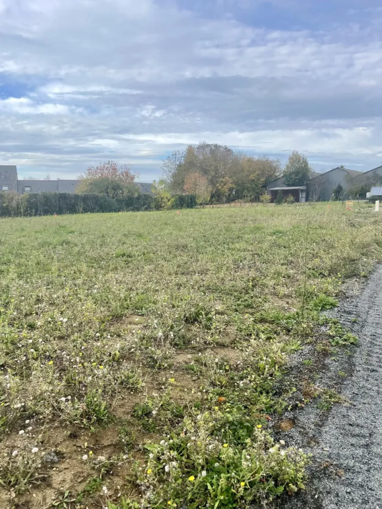 Image du modèle de maison IMG_7833