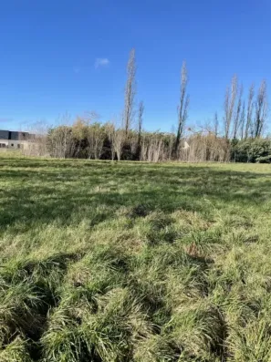 Image du modèle de maison IMG_8240