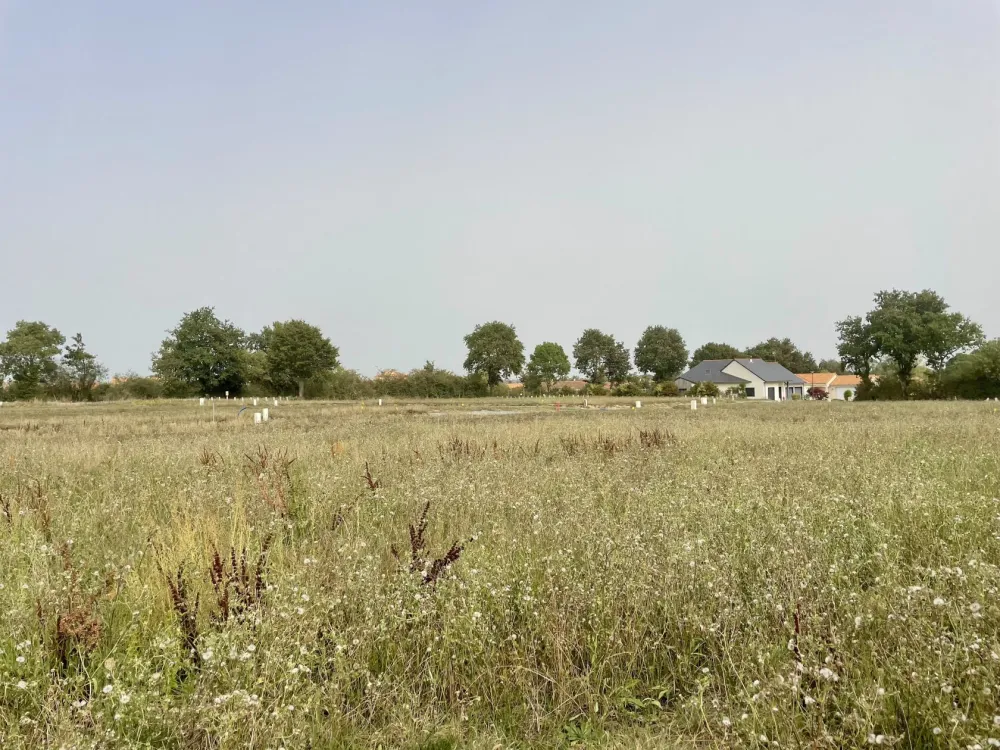 Image du terrain Terrain à bâtir de 368 m² à LONGUE-JUMELLES (49)
