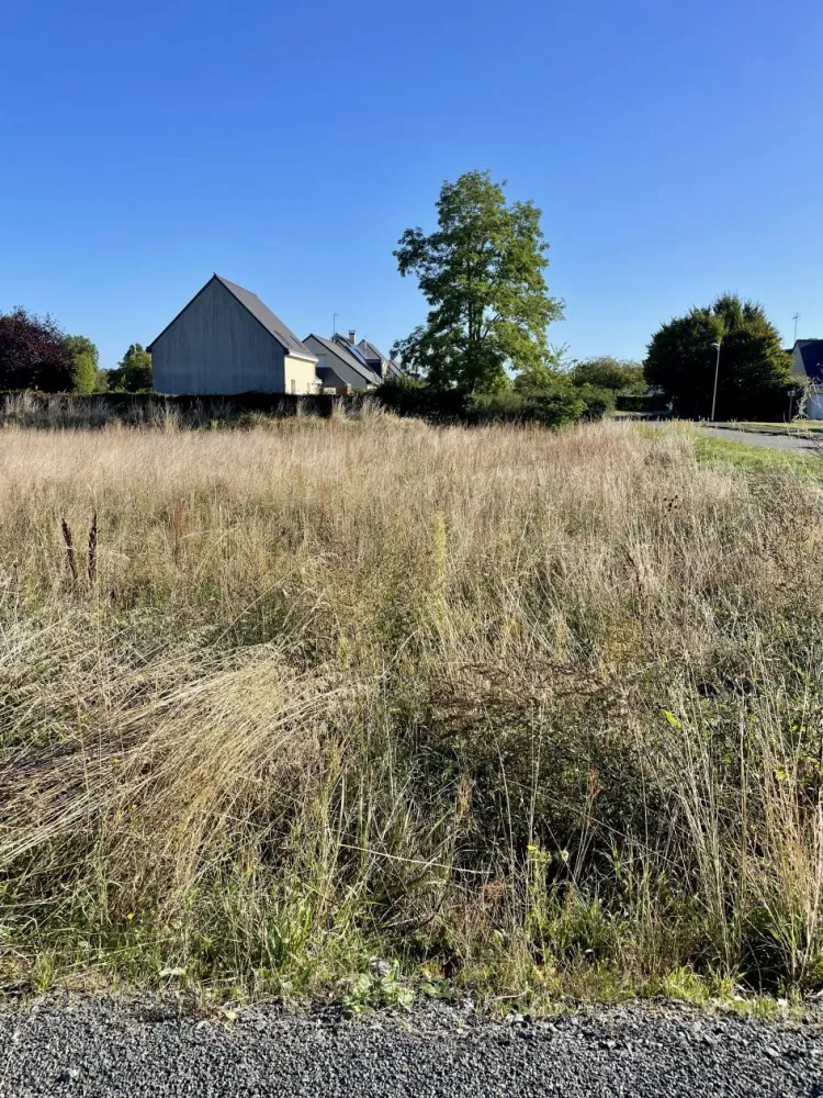 Image du modèle de maison IMG_7648