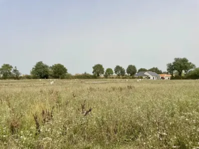 Image du modèle de maison IMG_2715