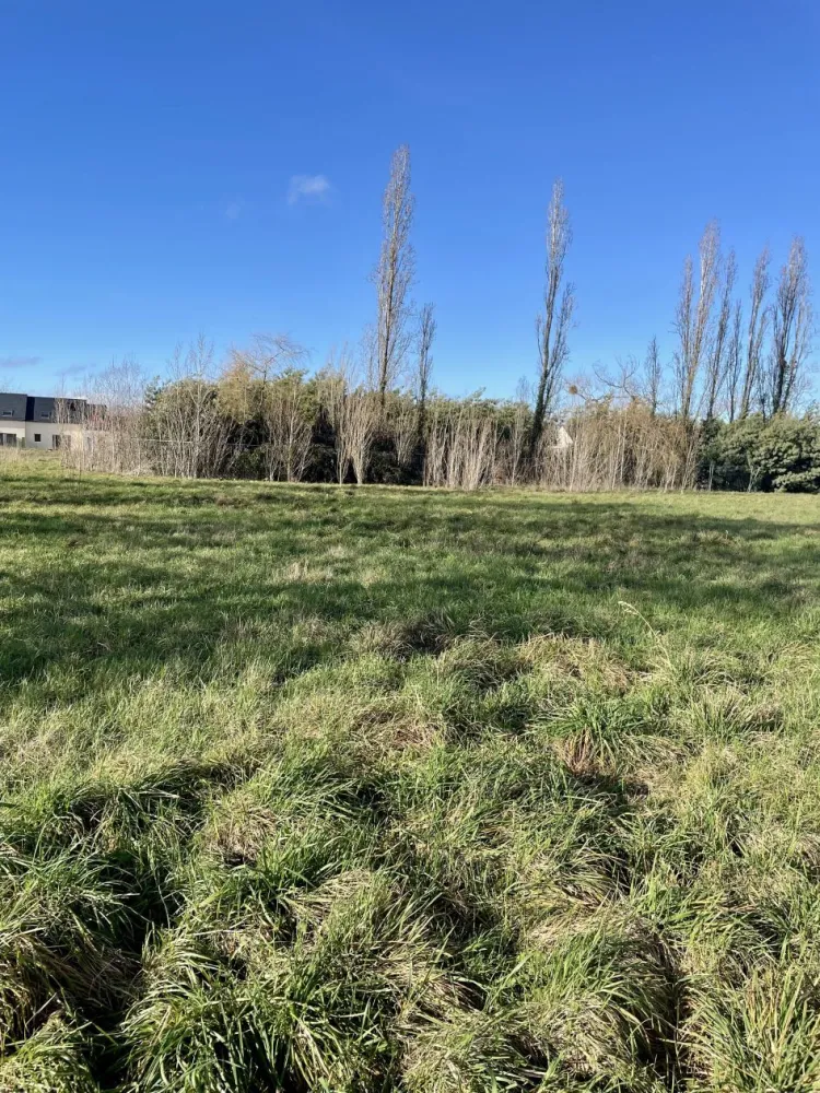 Image du modèle de maison IMG_8240