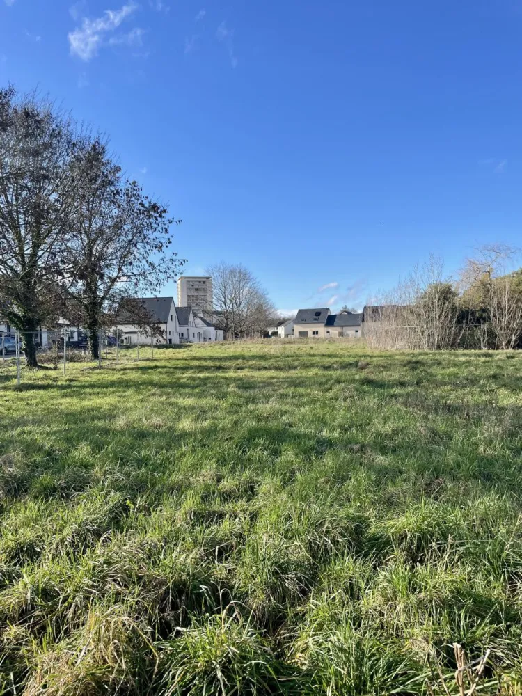 Image du modèle de maison IMG_8238