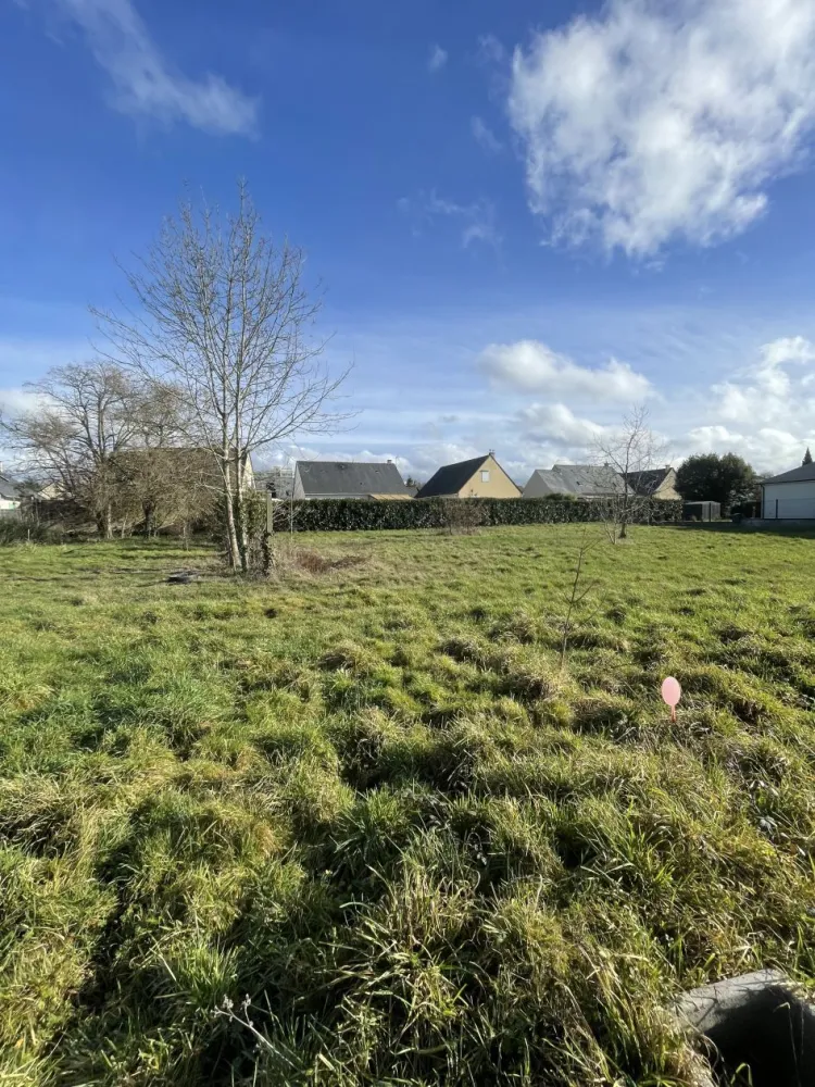 Image du modèle de maison IMG_8236