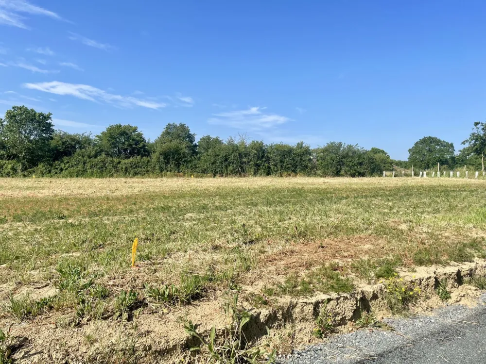 Image du modèle de maison IMG_1246