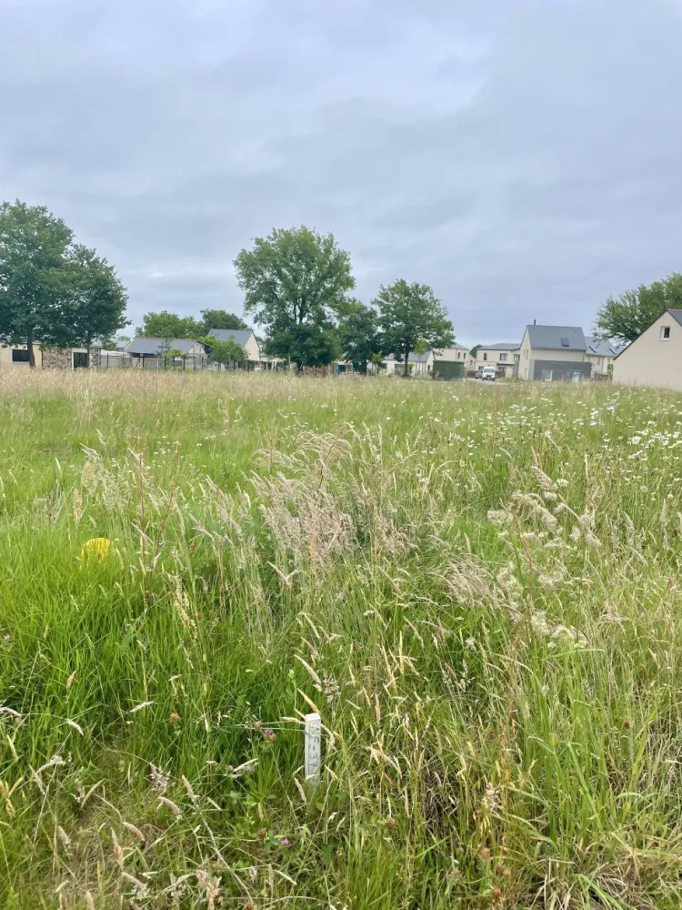 Image du modèle de maison IMG_6946