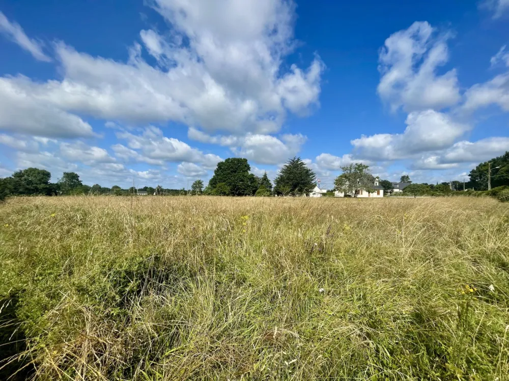 Image du terrain Terrain à bâtir de 402 m² à NOTRE-DAME-D'ALLENCON (49)
