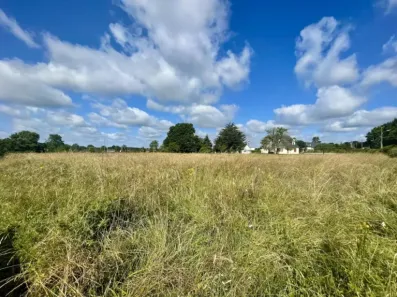 Image du modèle de maison IMG_1588