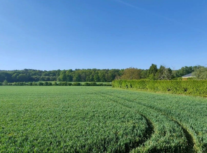 Image du modèle de maison Capture d’écran 2022-10-13 172341