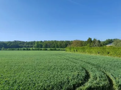 Image du modèle de maison Capture d’écran 2022-10-13 172341