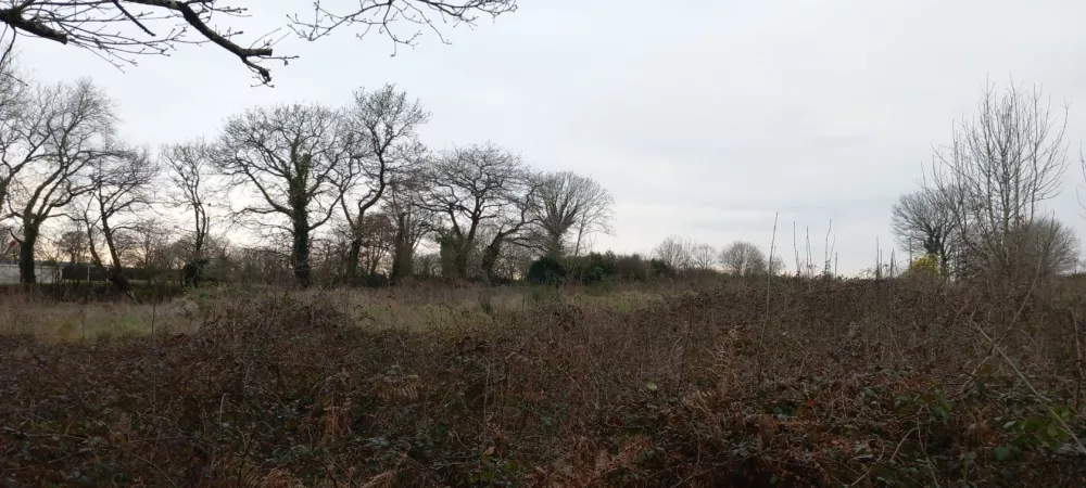 Image du modèle de maison 20230228_155955