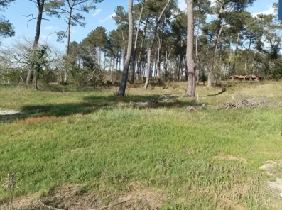 Image du modèle de maison TERRAIN LANDES BISCARROSSE 40 LOTISSEMENT