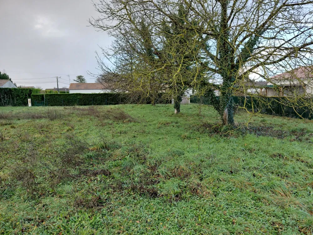 Image du modèle de maison Lot 4 - Photo 2