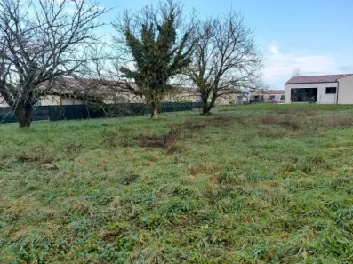 Image du modèle de maison Lot 4 - Photo 5