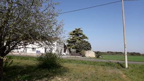 Image du modèle de maison received_866055154249802