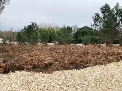 Image du modèle de maison CONSTRUCTEUR. LANGON, maisons individuelles Agence de LARA LANGON,