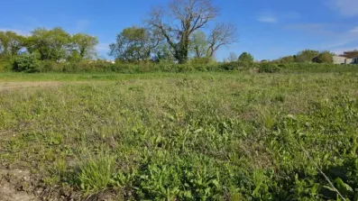 Image du modèle de maison Terrain Maisons Lara Loire les Marais (3)