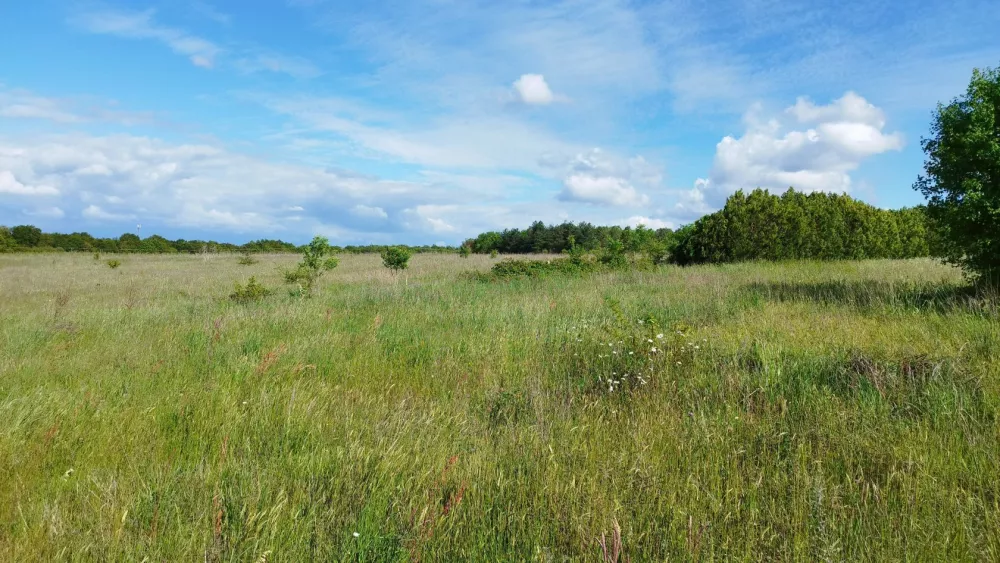 Image du modèle de maison Terrain Maisons Lara à Pnt l'Abbé d'Arnoult (1)