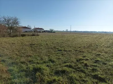 Image du modèle de maison 1000004324