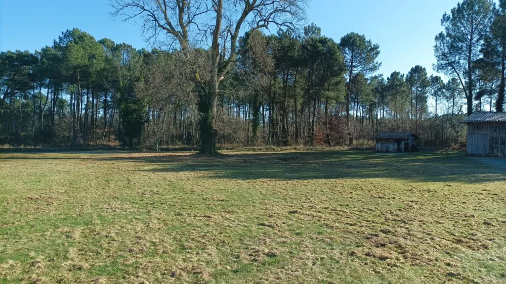 Image du modèle de maison 1000011477