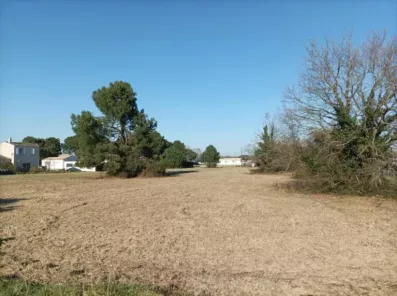 Image du modèle de maison 1