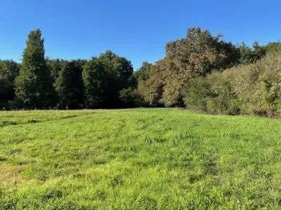 Image du modèle de maison BAZAS MAISONS LARA LANGON