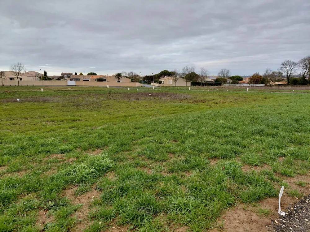 Image du modèle de maison Lot 18 - Photo 4