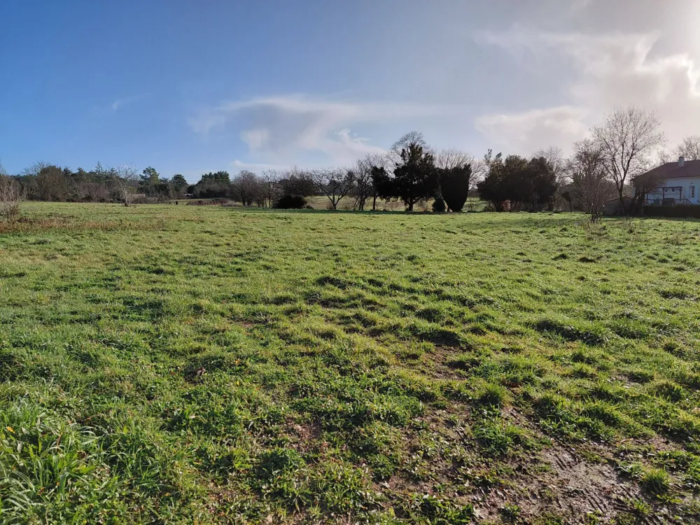 Image du modèle de maison Lot 8 - Photo 1