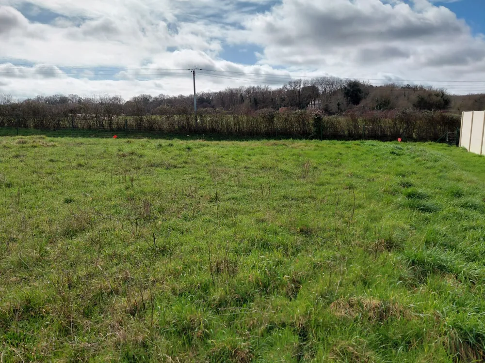 Image du modèle de maison 671 L1 - Photo 3