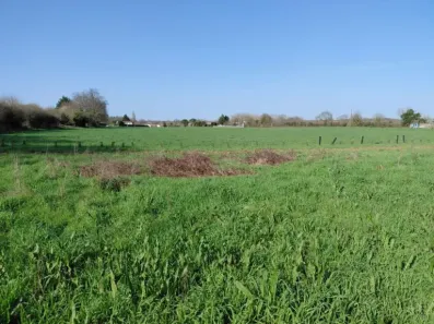 Image du modèle de maison 595 L41 - 2