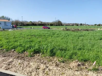 Image du modèle de maison 595 L41 - 4