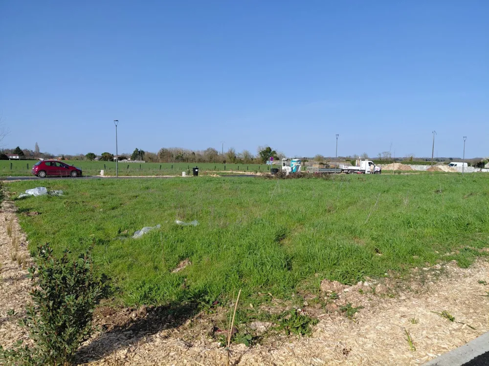 Image du modèle de maison 595 L41 - 3