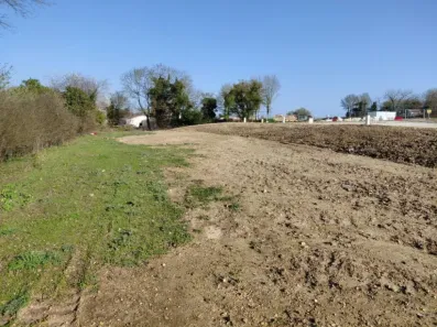 Image du modèle de maison 320 L13 - 6