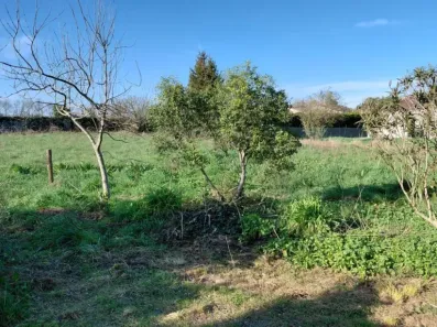 Image du modèle de maison 714 AGN - 1