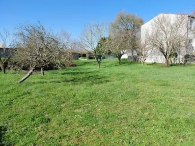 Image du modèle de maison 1184 AGN - 9