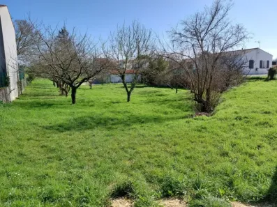 Image du modèle de maison 1184 AGN - 4