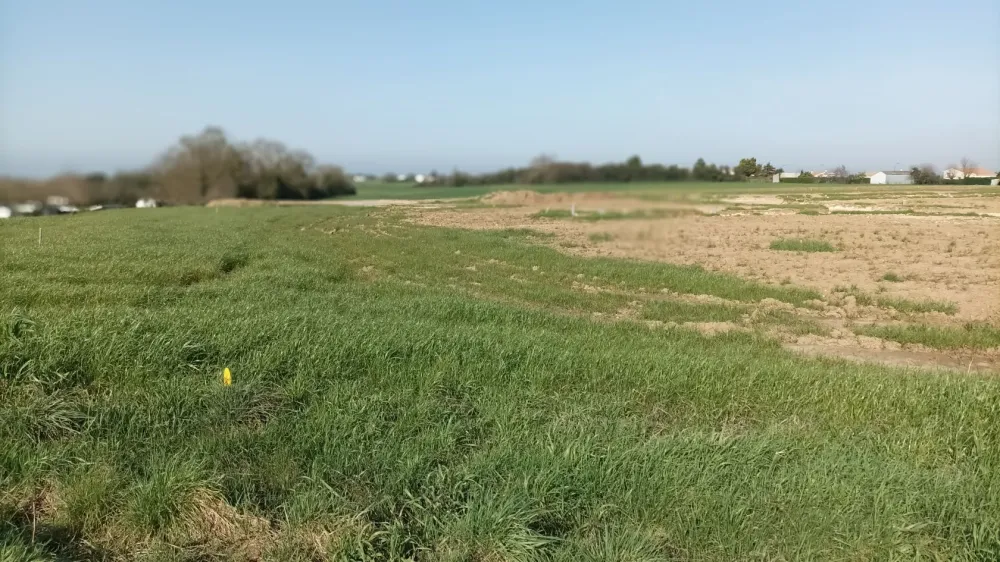 Image du modèle de maison Terrain St Nazire sur Chte-Maisons Lara (2)