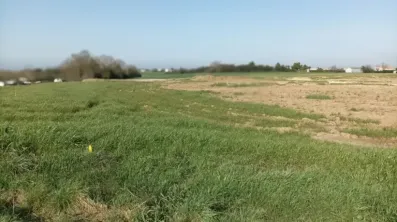 Image du modèle de maison Terrain St Nazire sur Chte-Maisons Lara (2)