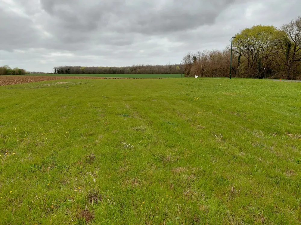 Image du modèle de maison BIG 672 L1 - 7