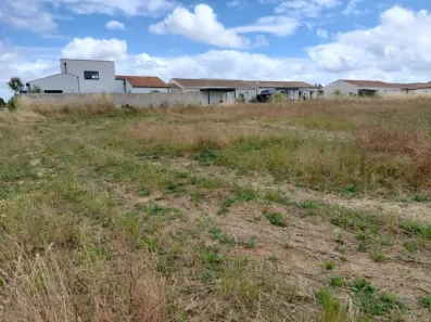 Image du modèle de maison PDB 435 L11 - 2