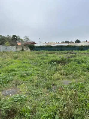 Image du modèle de maison IMG_0951