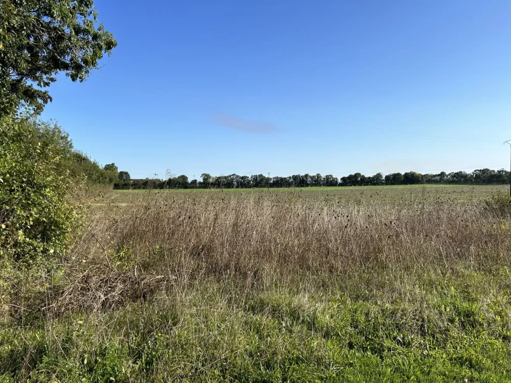 Image du terrain Terrain à bâtir de 281 m² à CIRE-D'AUNIS (17)