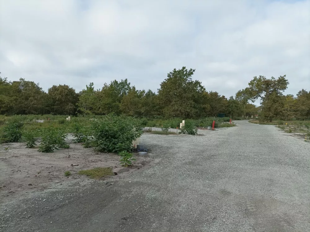 Image du terrain Terrain à bâtir de 510 m² à LABOUHEYRE (40)
