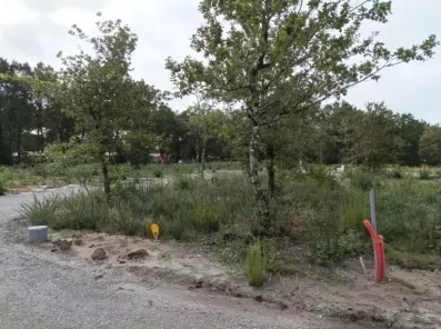 Image du modèle de maison TERRAIN LABOUHEYRE 40 LANDES VIABILISE