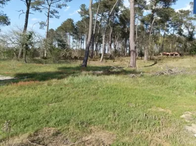 Image du modèle de maison TERRAIN LANDES BISCARROSSE 40 LOTISSEMENT